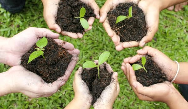 Careerwill launches ambitious plantation drive and scholarship program, targets planting 10 million trees by year end